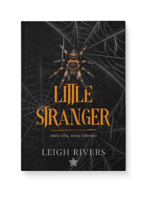 Little Stranger - Leigh Rivers