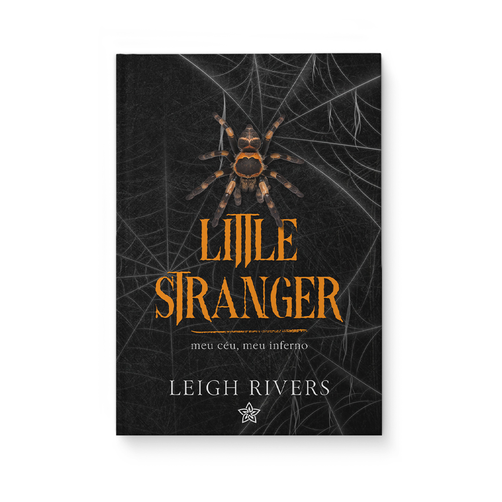 Little Stranger - Leigh Rivers